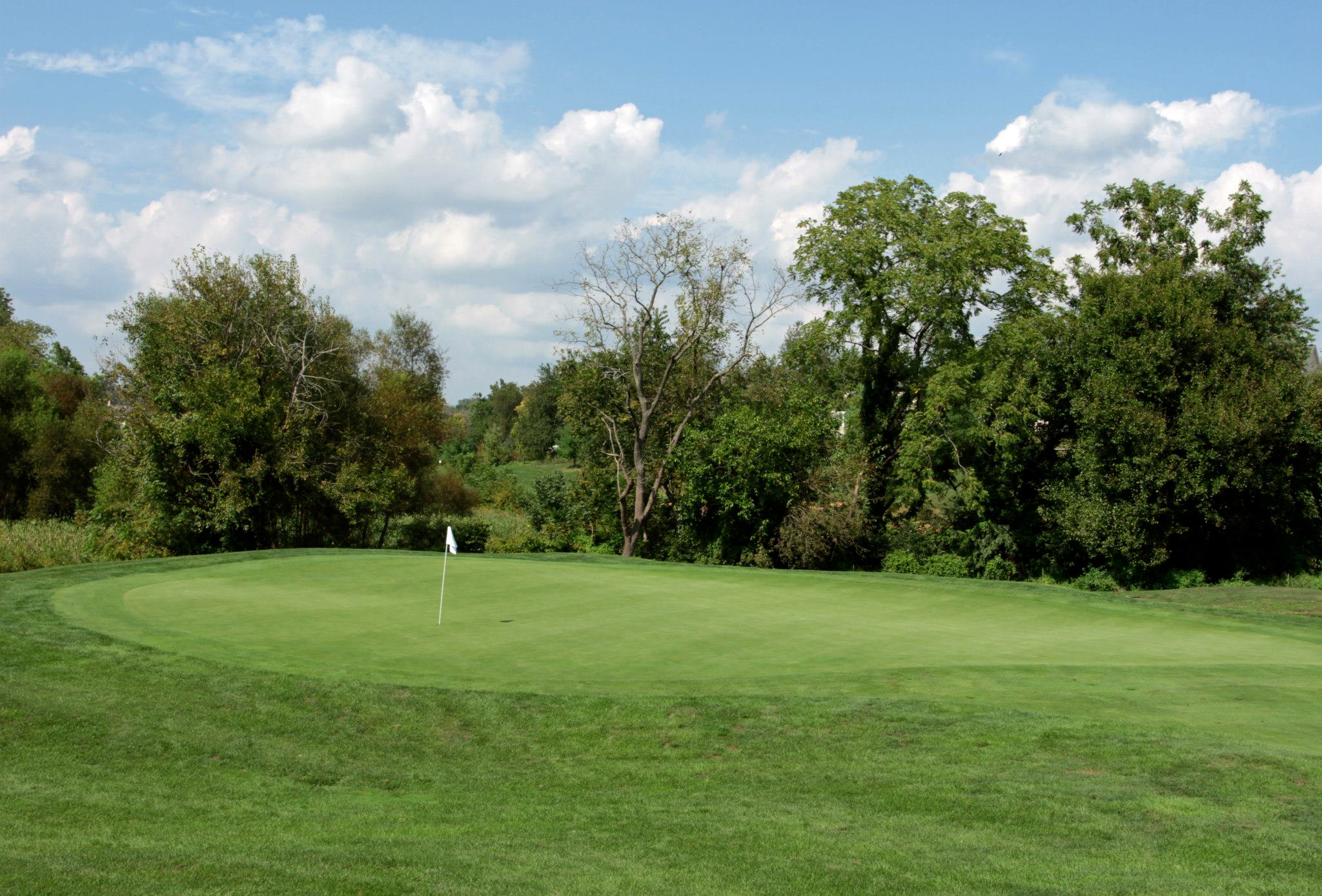Image of golf ball on tee on grass.